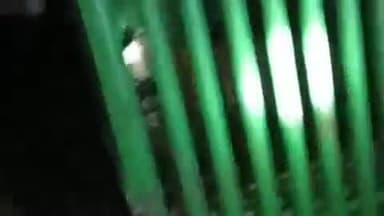 મહુવા: અંબિકા તાલુકાના ઉમરાના સાંધરા ફળિયામાં ખુંખાર દીપડો પાંજરે કેદ.