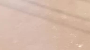 વિરમગામ: શહેરના બાધાવાડા વિસ્તાર મા રસ્તાઓ ઉભરાતા દૂષિત પાણી થી રહીશો પરેશાન