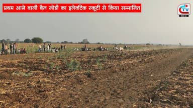 चौरई के पिपरिया फतेहपुर में विशाल पट प्रतियोगिता का किया गया आयोजन, 60 से ज्यादा बैल जोड़ियों ने दिखाया दमखम