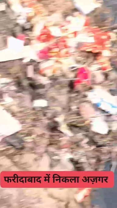 फरीदाबाद नहर पार इलाके में लोगों में उत्साह निकला अजगर