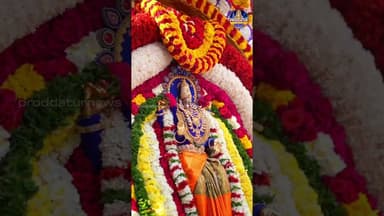 ఆత్మార్పణ సందర్భంగా గ్రామోత్సవం|అమ్మవారిశాల|#proddaturnews