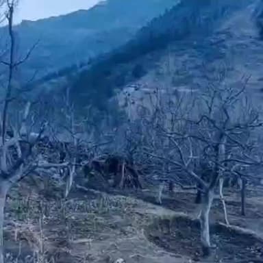सांगला: किन्नौर के ऊँचाई वाले ग्रामीण क्षेत्रों में पड़ा सूखा, बढ़ी ठंड, सेब बागों पर सूखे का मंडराया खतरा