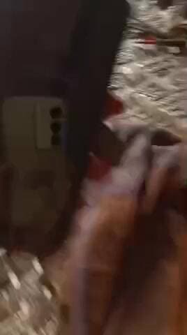 badmash ne 10 din ke andar marne ki dhamki dii hai
jyda se jyda share kare is video ko
#viral #trending #publicvoice