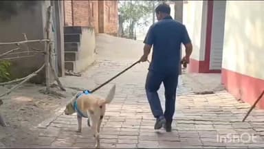 नावानगर: रेंका गांव में मुखिया समेत 3 लोगों के घरों से 80 लाख के गहने व 7 लाख नकद चोरी, डॉग स्क्वायड टीम मौके पर पहुंची