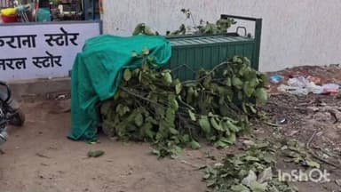 जैतपुर: रसमोहनी में भालू रेस्क्यू के लिए पिंजरा खराब निकला, दूसरा मंगवाया पर सफलता नहीं मिली