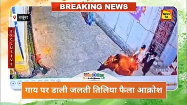 गाय पर डाली माचिक की जलती तिलिया सीसीटीवी में कैद