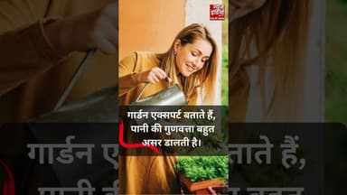 Gardening Tips पौधों के लिए कैसा पानी सबसे सही? आइए जानें एक्सपर्ट की राय | #PlantCare