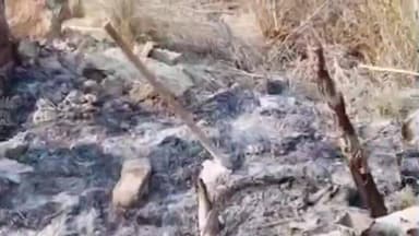 शिकोहाबाद: अरमरा जट्ट में साधु की झोपड़ी में आग लगने से हजारों का सामान जल गया, दो पालतू कुत्तों की हुई मौत