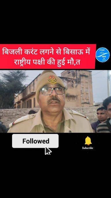 बिजली करंट लगने से बिसाऊ में राष्ट्रीय पक्षी की हुई मौ,त
#tharkiawaazajay
#bissau
#nationalbird
#ForestDepartment