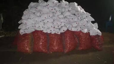 ಪುತ್ತೂರು: ಪಡುವನ್ನೂರು ಗ್ರಾಮದ ಸಜಂಕಾಡಿ ಎಂಬಲ್ಲಿ 106 ಕೆಜಿ ಗಾಂಜಾ ಸಹಿತ ಇಬ್ಬರ ಬಂಧನ