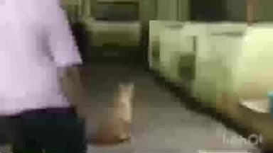 पवनी: पवनी येथील मटण व चिकन मार्केटची नगराध्यक्षांकडून प्रत्यक्ष पाहणी; स्वच्छता व नियमांच्या पालनाचे निर्देश