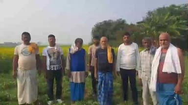 अरियरी: करकी गांव में नीलगाय का आतंक, 50 बीघा फसल बर्बाद, किसान दहशत में