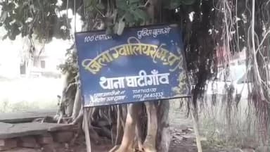 घाटीगांव: घाटीगांव में पुलिस की लापरवाही और अवैध शराब पर कार्रवाई