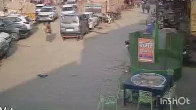 गढ़मुक्तेश्वर: ब्रजघाट तीर्थ नगरी में कार द्वारा मासूम बच्ची को कुचलने का मामला, घटना का लाइव CCTV फुटेज आया सामने