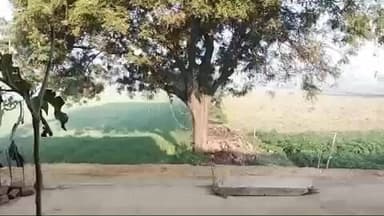 थाना दादर क्षेत्र में हो रहा है खनन
खनन माफिया के बढ़ रहे हैं हौसले बुलंद