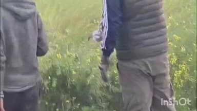 कौआकोल: जोगाचक बाजार के पास जंगल से भटका हुआ हिरण आया, वन विभाग ने रेस्क्यू कर उसे जंगल में छोड़ा