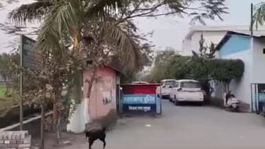 गदरपुर: गदरपुर विधायक अरविंद पांडेय पर सरकारी भूमि पर कब्जा कर कार्यालय बनाने का आरोप, प्रशासन ने दिया नोटिस