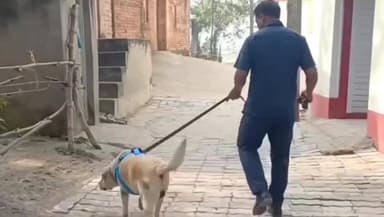 नावानगर: रेंका गांव में मुखिया समेत 3 लोगों के घरों से ₹80 लाख के गहने व ₹7 लाख नकद चोरी, विशेष जांच टीम गठित