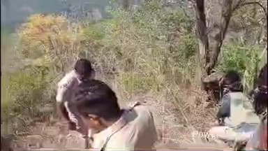 ಹನೂರು: ಚಿರತೆ ದಾಳಿ ಹಿನ್ನೆಲೆ ಮಹದೇಶ್ವರ ಬೆಟ್ಟಕ್ಕೆ ಪಾದಯಾತ್ರೆ, ಬೈಕ್ ಸಂಚಾರಕ್ಕೆ ತಾತ್ಕಾಲಿಕ ನಿರ್ಬಂಧ