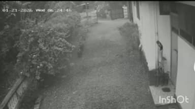 മീനച്ചിൽ: ഈരാറ്റുപേട്ടയിൽ മദ്രസ വിദ്യാർത്ഥികൾക്ക് നേരെ തെരുവ് നായയുടെ ആക്രമണം