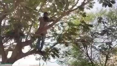 सिलवानी: यूरिया न मिलने से परेशान किसान पेड़ पर चढ़ा, प्रशासन ने समझाकर नीचे उतारा
