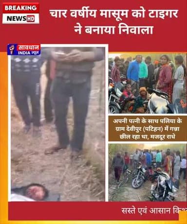 चार वर्षीय मासूम को टाइगर ने बनाया निवाला