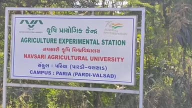 પારડી: પરીયા ગામે કૃષિ પ્રાયોગિક કેન્દ્રના વોશરૂમમાંથી ઇન્ડિયન સ્પેક્ટિકલ કોબરા નાગનું સફળ રેસ્ક્યુ