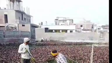 गोवर्धन: प्राचीन कुंडों की सुरक्षा और सौंदर्यीकरण में जुटे फौजी बाबा, अतिक्रमण से बचाएंगे पवित्र स्थल