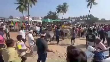 போச்சம்பள்ளி: அத்திகானூர் கிராமத்தில் எருது விடும் விழா – 400 காளைகள் பங்கேற்பு – 10000த்திற்கும் மேற்பட்டோர் கண்டுகளிப்பு - காளைகள் துன்புறுத்தல் வேதனை