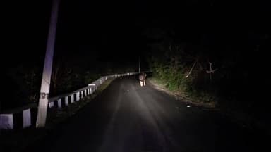 கல்வராயன் மலை: கள்ளக்குறிச்சி - வெள்ளிமலை சாலையில் நடந்து சென்ற காட்டெருமை - வாகன ஒட்டிகள் பாதுகாப்பாக செல்ல வனத்துறை அறிவுறுத்தல்