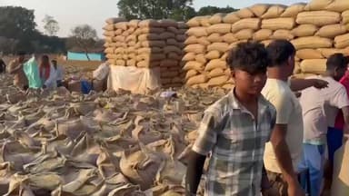 कुनकुरी: कुनकुरी धान खरीदी केंद्रों की बेहतर व्यवस्था से किसान संतुष्ट, ग्रामीण अर्थव्यवस्था को मिल रही मजबूती