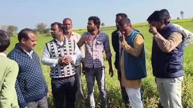 रन्नौद: दवा छिड़कते ही चना मसूर की फसल हुई ख़राब, किसानों ने खतौरा ईसागढ़ रोड पर लगाया जाम, अधिकारी बोले- जाँच जारी