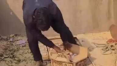 पंडारक: पंडारक थाना पुलिस ने हाइवा से 1356 लीटर बीयर की बरामद, एक तस्कर गिरफ्तार