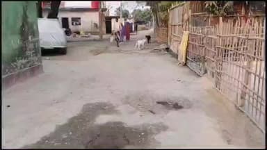 बैसि: बायसी की जर्जर पीसीसी सड़क से राहगीर परेशान