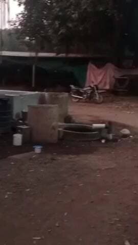 જેસર: જેસરના વાડી વિસ્તારમાં ફરી એકવાર દીપડાનો આતંક જોવા મળ્યો