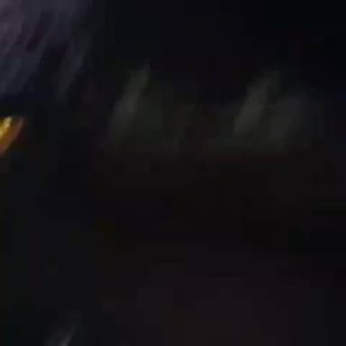 శింగనమల: తరిమెల గ్రామంలో అక్రమంగా ఇసుకను తరలిస్తున్న టిప్పర్ ,హిటాచిను స్వాధీనం చేసుకున్న ఎస్ఐ విజయ్ కుమార్