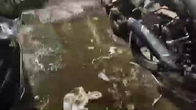 जोधपुर: जोधपुर में आमजन परेशान, शहर के विभिन्न इलाकों में सफाई व्यवस्थाएं चरमराई, व्यापारी भी परेशान