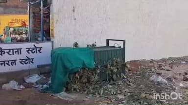 जैतपुर: चार दिन से पिंजरा खाली, रसमोहनी बाजार का चर्चित भालू अब तक नहीं पकड़ा गया