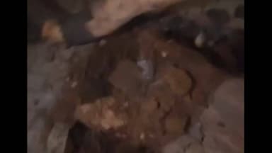 ਜਲੰਧਰ 1: ਹਲਕਾ ਵੈਸਟ ਵਿਖੇ ਏਪੀਜੇ ਸਕੂਲ ਸਾਹਮਣੇ ਖੜੀ ਗੱਡੀ ਉੱਪਰ ਡਿੱਗਿਆ ਦਰੱਖਤ ਜਾਨੀ ਨੁਕਸਾਨ ਤੋਂ ਰਿਹਾ ਬਚਾ