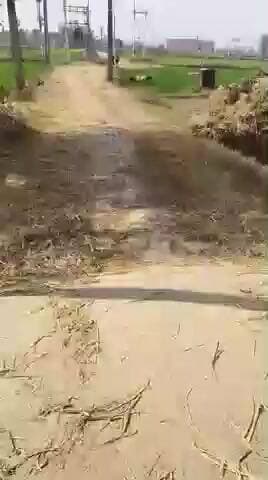 bahuara deora panchayt naubatpur patna