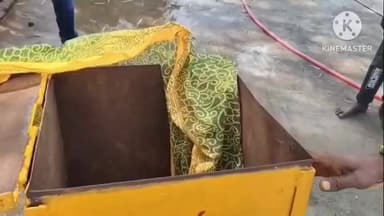 మహబూబాబాద్: చింతల గట్టు జాతరలో అద్భుతం గద్దెపై నాగుపాము సాక్షాత్కారం భక్తిపారవష్యంలో మునిగిపోయిన భక్తులు