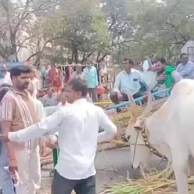 ಕಲಬುರಗಿ: ವಿವಿಧ ಬೇಡಿಕೆಗಳ ಈಡೇರಿಕೆಗೆ ಆಗ್ರಹಿಸಿ ನಗರದ ಡಿಸಿ ಕಚೇರಿ ಮುಂದೆ ರೈತರಿಂದ ಅಹೋರಾತ್ರಿ ಧರಣಿ ಸತ್ಯಾಗ್ರಹ