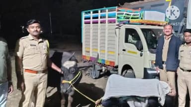 औंढा नागनाथ: जनावर चोरट्याच्या पोलिसांनी आवळल्या मुसक्या 74000 हजाराचा मुद्देमाल केला जप्त