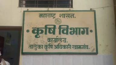 खामगाव: मक्याच्या बोगस बियाण्यांमुळे पन्नास एकरांवरील पिकांना फटका