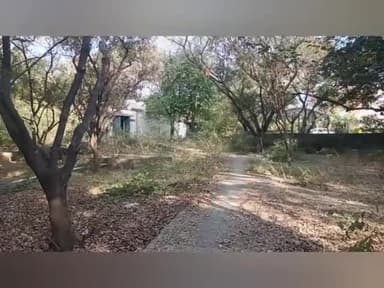 திருவண்ணாமலை: கலெக்டர் அலுவலகத்தில் சுகாதாரமற்ற முறையில் கழிப்பறைகள் சுத்தம் சுத்தம் செய்ய வேண்டும் என பொதுமக்கள் எதிர்பார்ப்பு