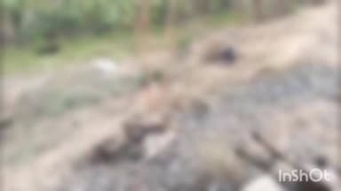 વડગામ: સેદરાણા જગાણા વચ્ચે ટ્રેનની અડફેટે 30થી વધુ ઘેટાંઓના મોત.