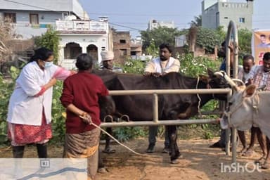 వేపాడ: వల్లంపూడిలో ఉచిత పశువు ఆరోగ్య శిబిరం : 189 పశువులకు వైద్య సేవలు డాక్టర్ గాయత్రి