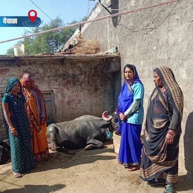 #सफलता_की_कहानी
सहायता समूह से जुड़ने के बाद श्रीमती रानी पुनाचा लिख रही सफलता की नई कहानी
==
महिलाओं को आत्मनिर्भर व स...