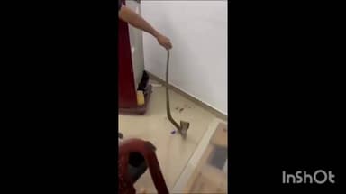 മീനച്ചിൽ: ഈരാറ്റുപേട്ട കാരക്കാട് വീട്ടിൽ നിന്ന് മൂർഖൻ പാമ്പിനെ പിടികൂടി