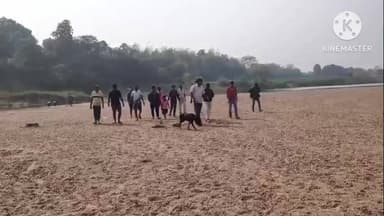 ବଡସାହି: ପାଟଳିପୁରା ପଞ୍ଚାୟତରେ ସରପଞ୍ଚଙ୍କ ଘରୁ ତାଲା ଭାଙ୍ଗି ଲକ୍ଷାଧିକ ଟଙ୍କାର ସୁନାରୂପା ଅଳଙ୍କାର ଚୋରି ଘଟଣାରେ ତଦନ୍ତ ଆରମ୍ଭକଲା ବୈଶିଙ୍ଗା ପୁଲିସ